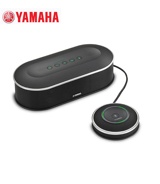 Microphone Speaker System