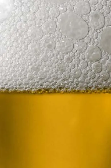 การหาปริมาณคาร์บอนไดออกไซด์ในเบียร์ TOC in Beer