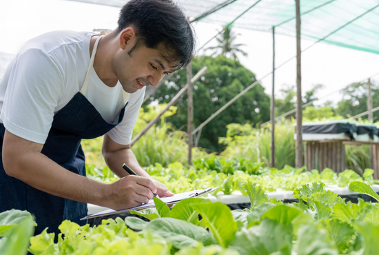 เครื่องวัดออกซิเจนในน้ำ สำหรับการจัดการคุณภาพน้ำในฟาร์ม